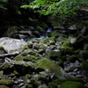 苔むした石と滑沢川