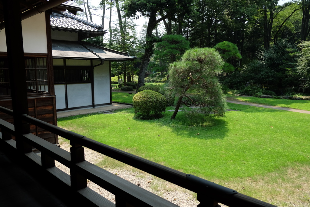 高橋是清邸から見える庭