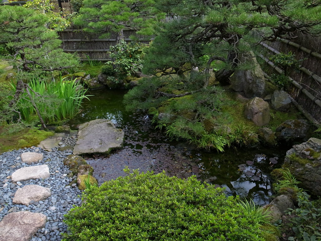 小泉八雲旧居の庭