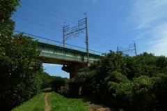 緑の中の鉄橋