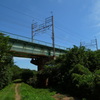 緑の中の鉄橋