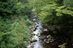 湯ヶ島温泉の本谷川