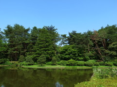 池と緑と青空