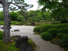 日本庭園の枯山水