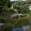 円覚寺の妙香池