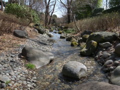 石だらけの川