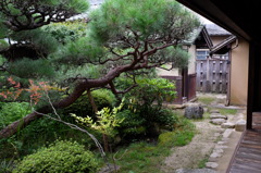 旧折井家の庭