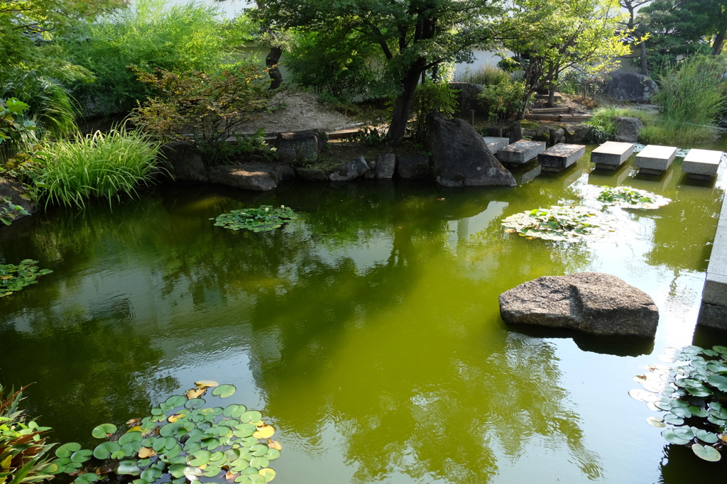 清洲城の池
