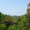 緑あふれる山