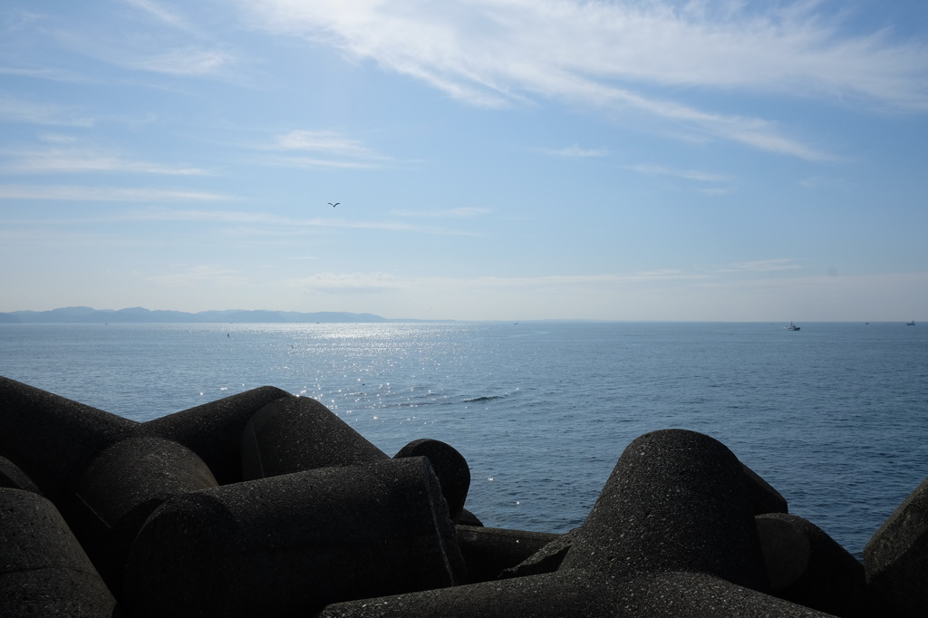 湘南の海