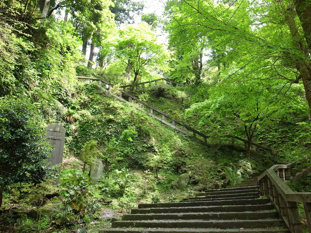 緑の中の階段