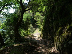 立久恵峡の遊歩道