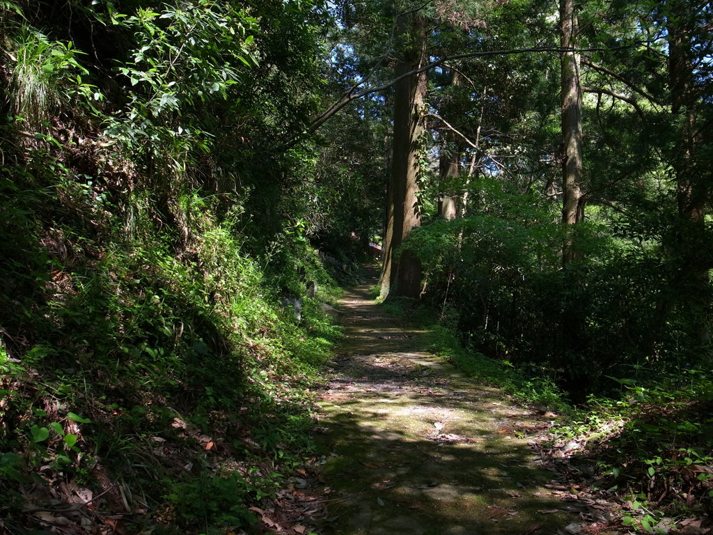 立久恵峡の遊歩道