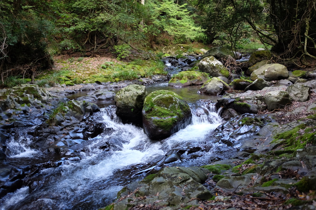 河津川