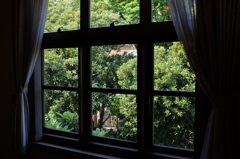 窓の外の風景