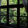 窓の外の風景