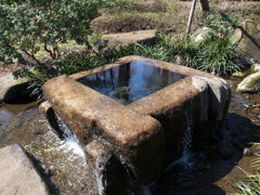 水溜まり