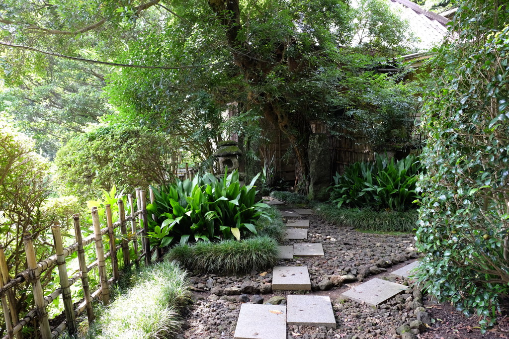 日本寺の緑あふれる庭