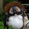 信楽焼のタヌキ