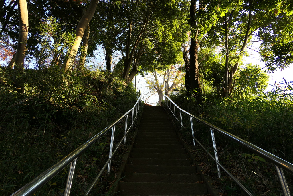 神社の石段