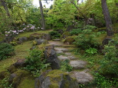 日本庭園の石畳