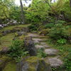 日本庭園の石畳