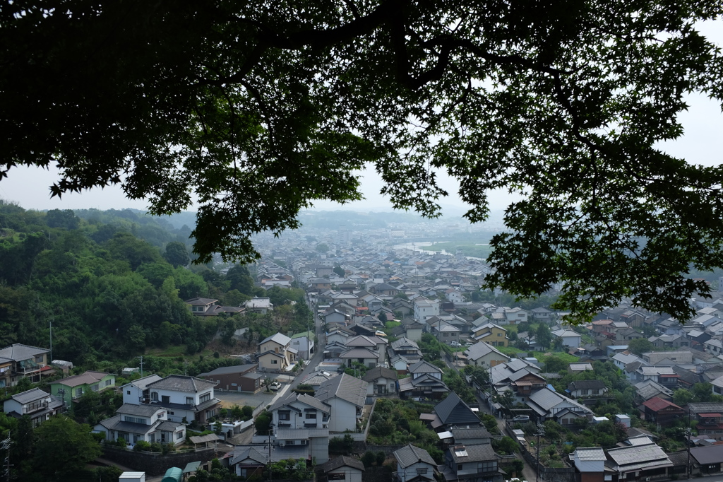 津山市街