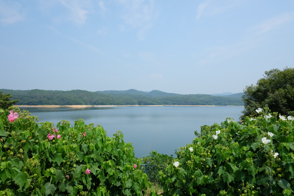 明治村の入鹿池