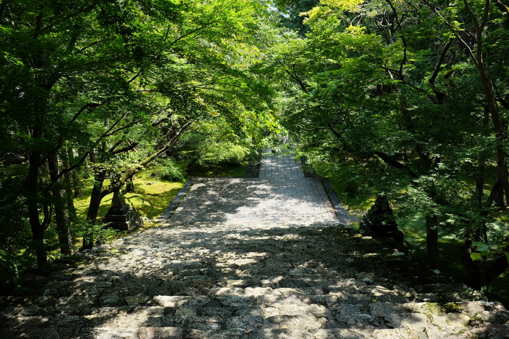 竹林寺の緑あふれる境内