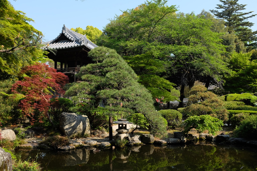 鑁阿寺の庭園