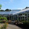植物園の温室