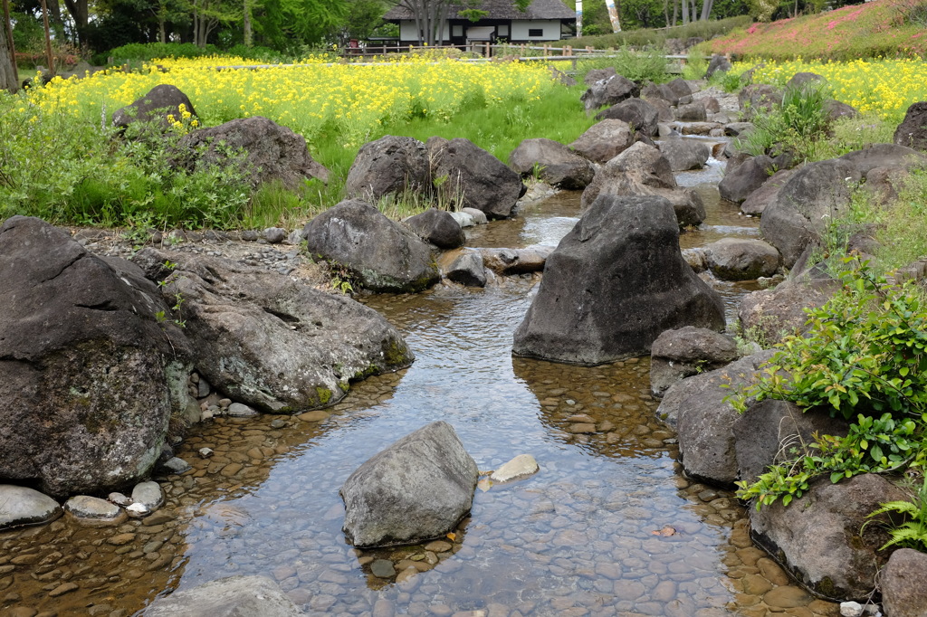 石の多い川