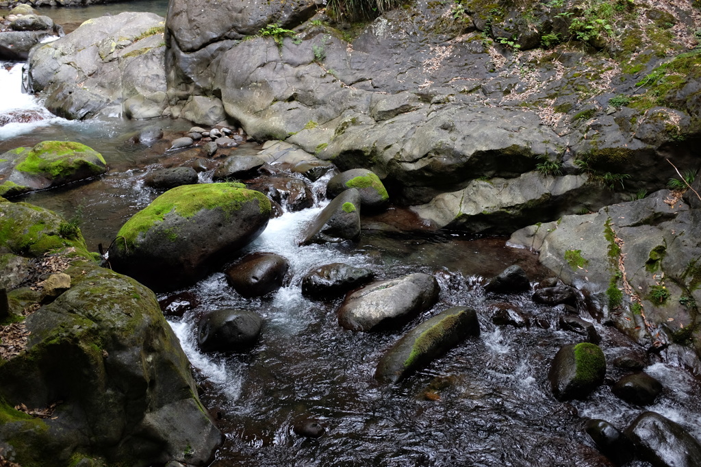 河津川