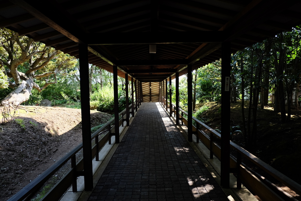 古稀庵の庭園の廊下