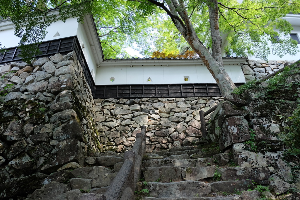 郡上八幡城の石垣