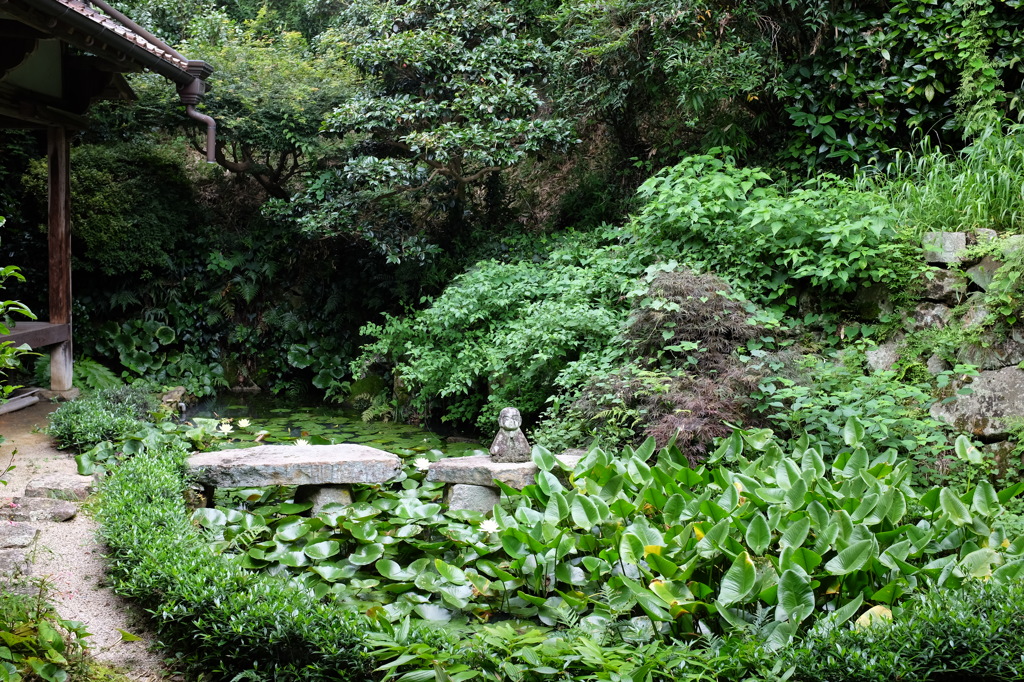 池の中の小さな地蔵