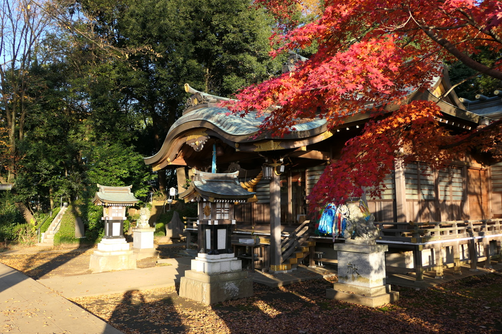城山神社の紅葉