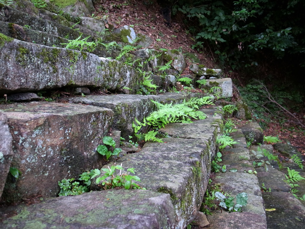 彦根城の石段