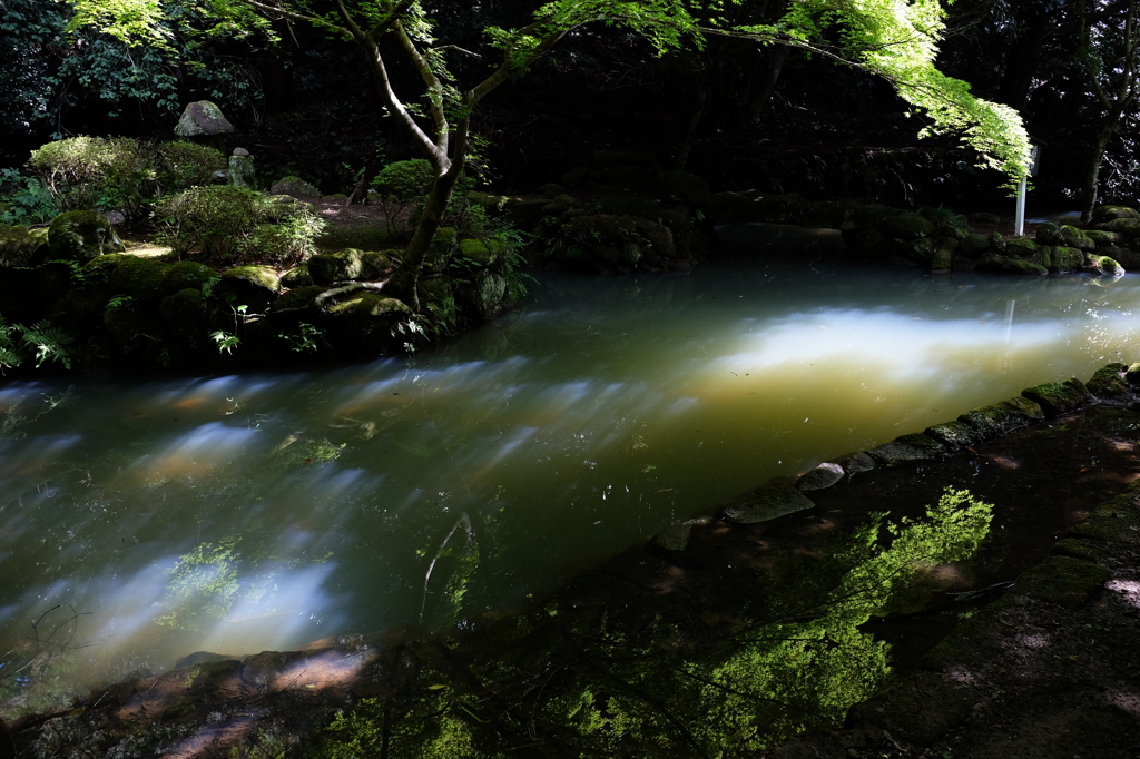 水面に映る斜陽