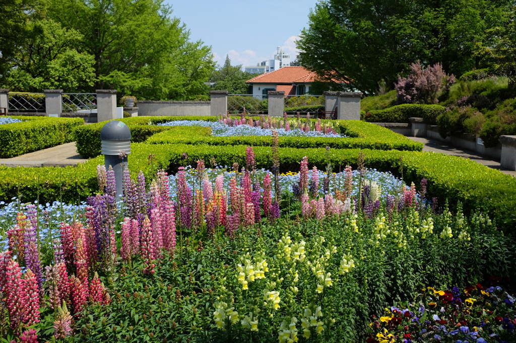 外交官の家の西洋庭園 By やすりん Id 写真共有サイト Photohito