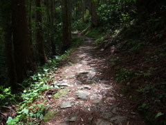 陽の差す山道