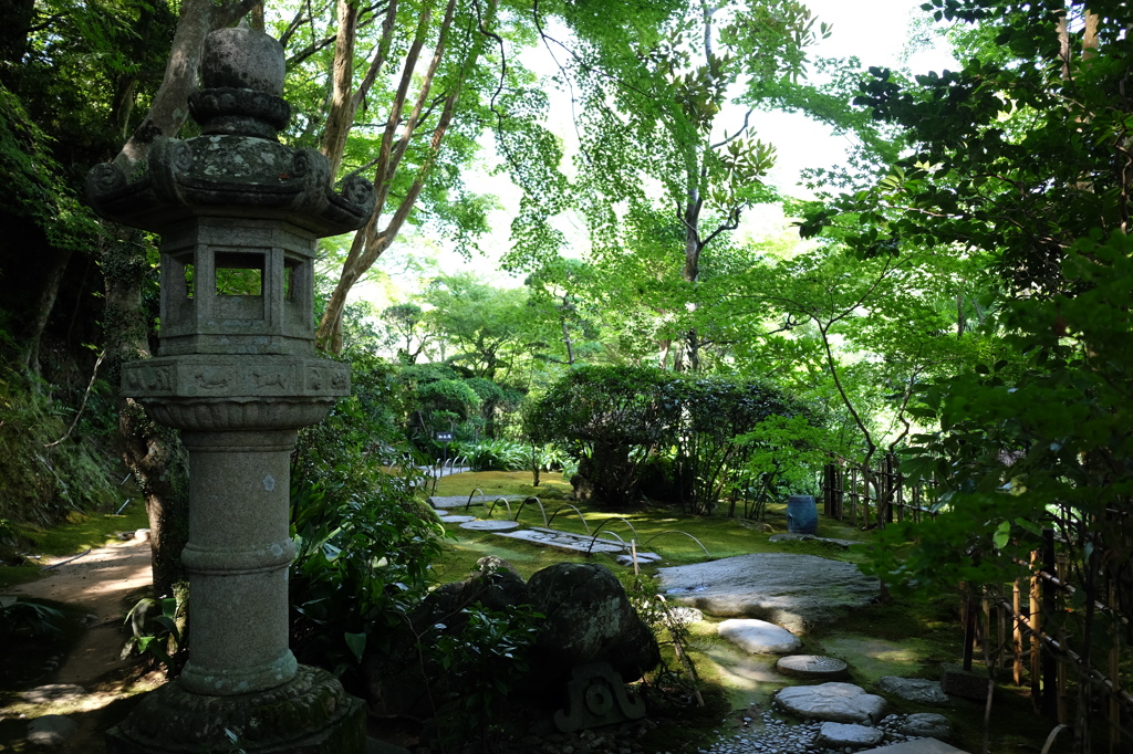 緑あふれる臥龍山荘