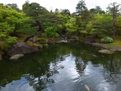 日本庭園の池と緑