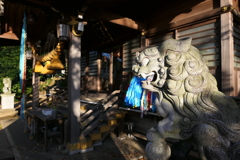 城山神社の狛犬