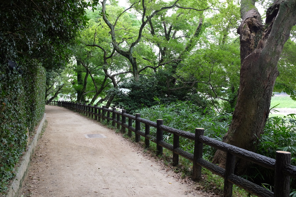 緑あふれる遊歩道