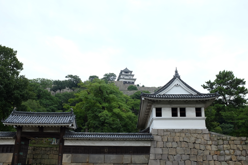 丸亀城と大手門