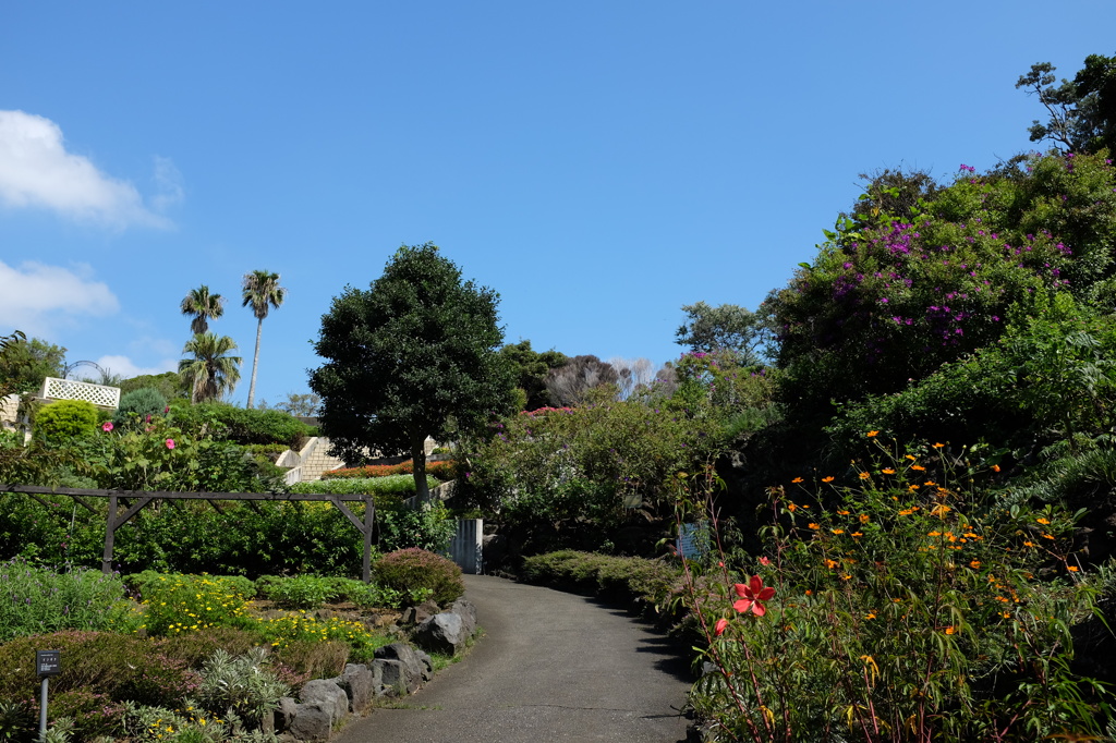 伊豆四季の花公園