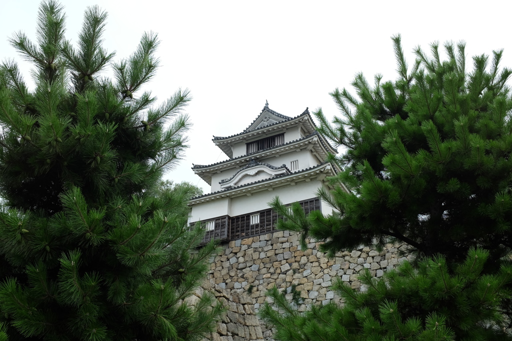 丸亀城天守閣