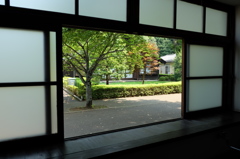 窓から見える景色