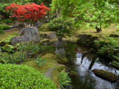 日本庭園の池と緑